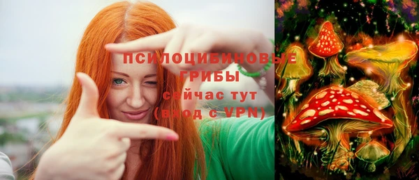 apvp Арсеньев