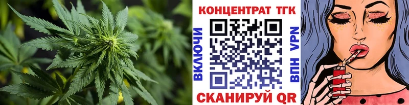 ТГК Wax  Ясногорск 