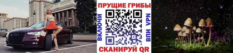 Галлюциногенные грибы ЛСД  как найти наркотики  ОМГ ОМГ ССЫЛКА  Ясногорск 